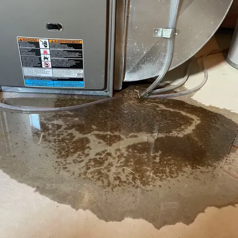 Appliance Leak Cleanup in Apple Valley, OH